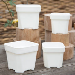 Small White Plastic Square Nursery and Seedling Pot-2