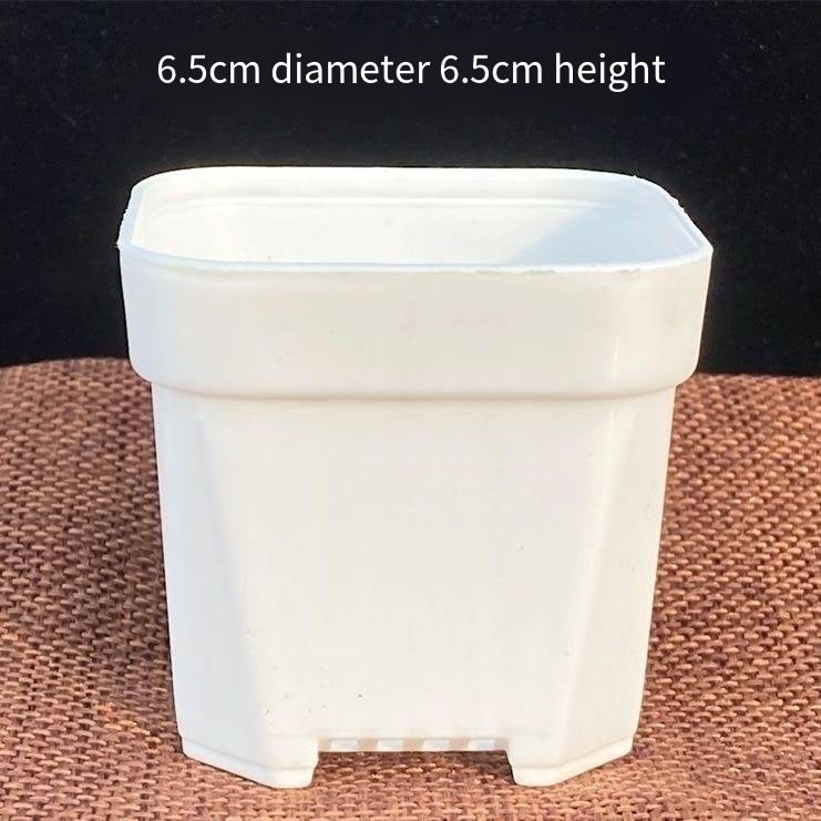 Small White Plastic Square Nursery and Seedling Pot