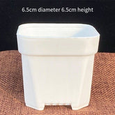 Small White Plastic Square Nursery and Seedling Pot