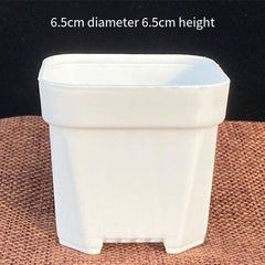 Small White Plastic Square Nursery and Seedling Pot