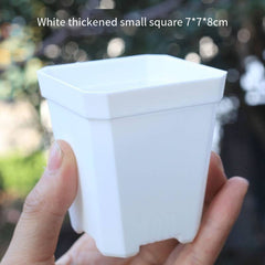 White Square Plastic Plant Pots