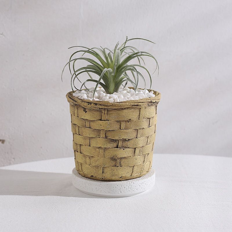 Creative New Style Cement Succulent Pot, Large Diameter Breathable Home Plant Planter Decoration