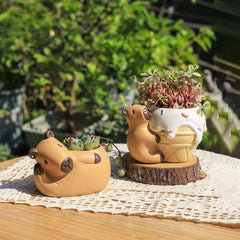 Creative Personalized Capybara Succulent Pot, Balcony Garden Desktop Pen Holder Decor Figurine