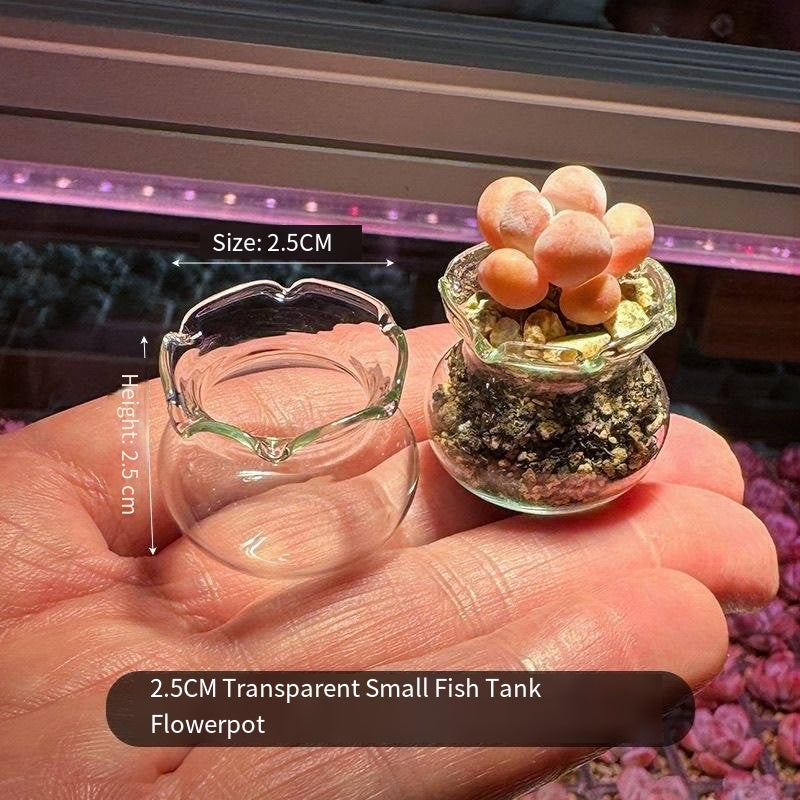 Transparent Root Growth Planter Container for Succulents/Seedlings