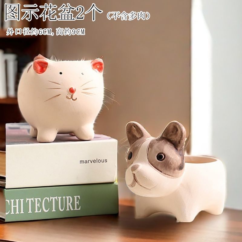 Creative Cute Animal Coarse Pottery Succulent Pot Set, Simple Durable High Aesthetic Home Decor