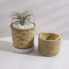 Creative New Style Cement Succulent Pot, Large Diameter Breathable Home Plant Planter Decoration