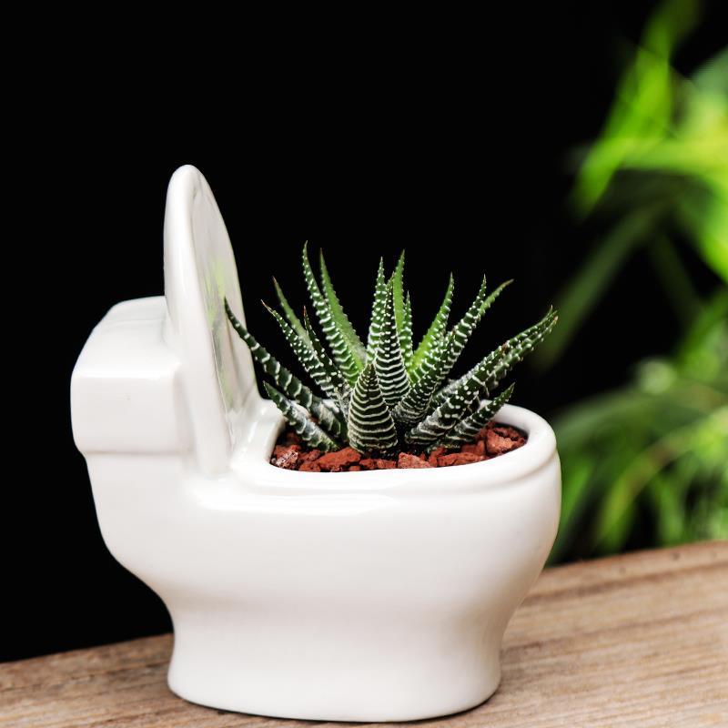 Creative Cute Simple Small Ceramic Succulent Pot, Desktop Toilet Origami Shape Planter