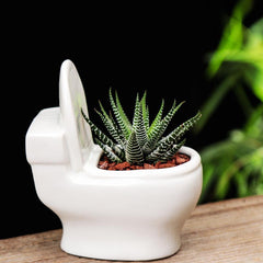 Creative Cute Simple Small Ceramic Succulent Pot, Desktop Toilet Origami Shape Planter
