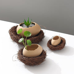 Creative Ceramic Hydroponic Pothos Vase, Indoor Home Flower Arrangement Planter Vessel Decoration
