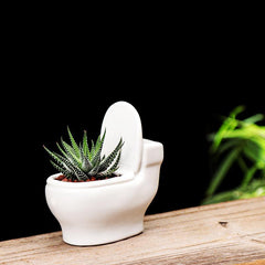 Creative Cute Simple Small Ceramic Succulent Pot, Desktop Toilet Origami Shape Planter