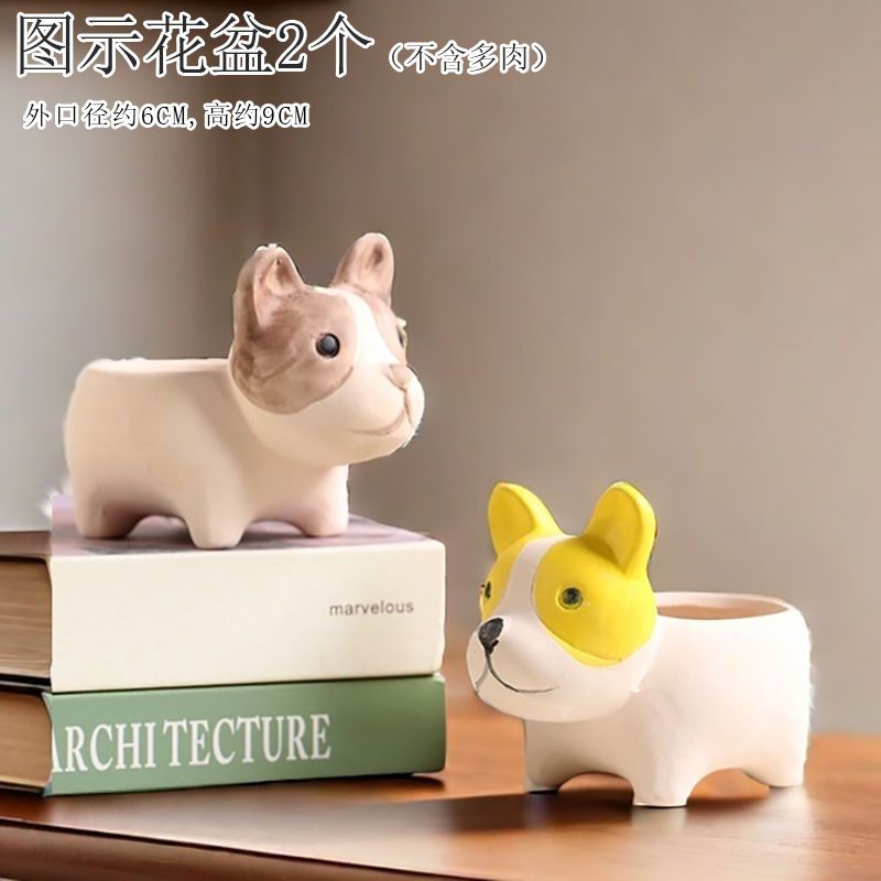 Creative Cute Animal Coarse Pottery Succulent Pot Set, Simple Durable High Aesthetic Home Decor