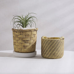 Creative New Style Cement Succulent Pot, Large Diameter Breathable Home Plant Planter Decoration