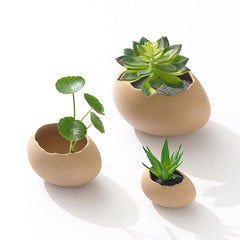 Creative Ceramic Hydroponic Pothos Vase, Indoor Home Flower Arrangement Planter Vessel Decoration