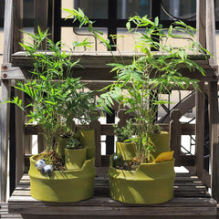 Pastoral Style Imitation Bamboo Resin Succulent Pot, Personalized Balcony Garden Micro Landscape Decor