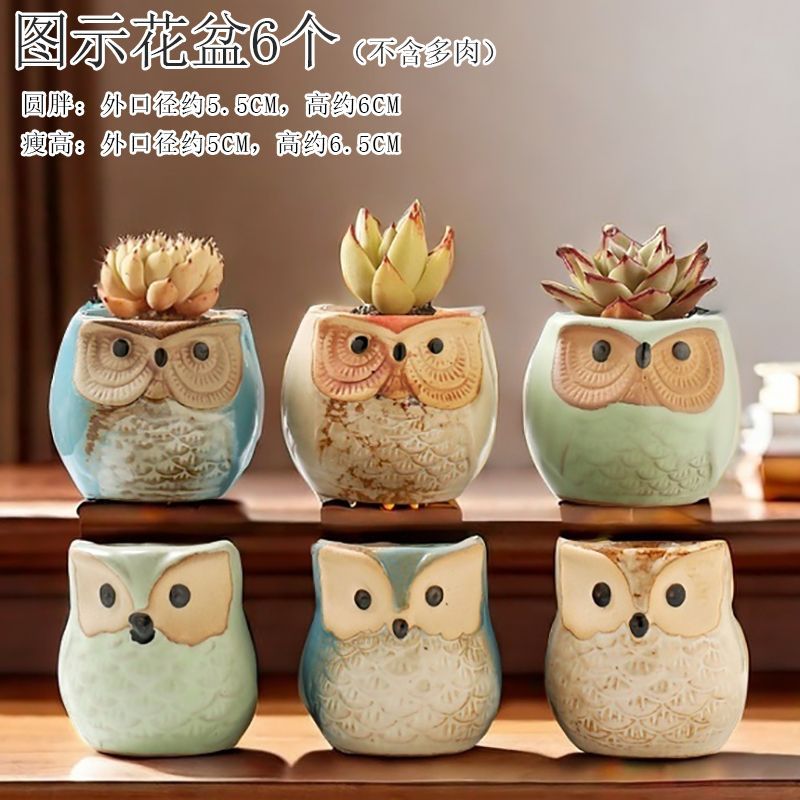 Creative Cute Animal Coarse Pottery Succulent Pot Set, Simple Durable High Aesthetic Home Decor