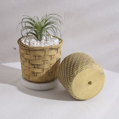 Creative New Style Cement Succulent Pot, Large Diameter Breathable Home Plant Planter Decoration