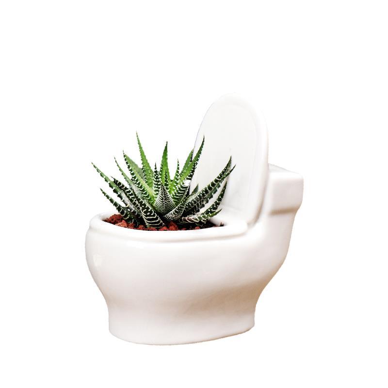 Creative Cute Simple Small Ceramic Succulent Pot, Desktop Toilet Origami Shape Planter