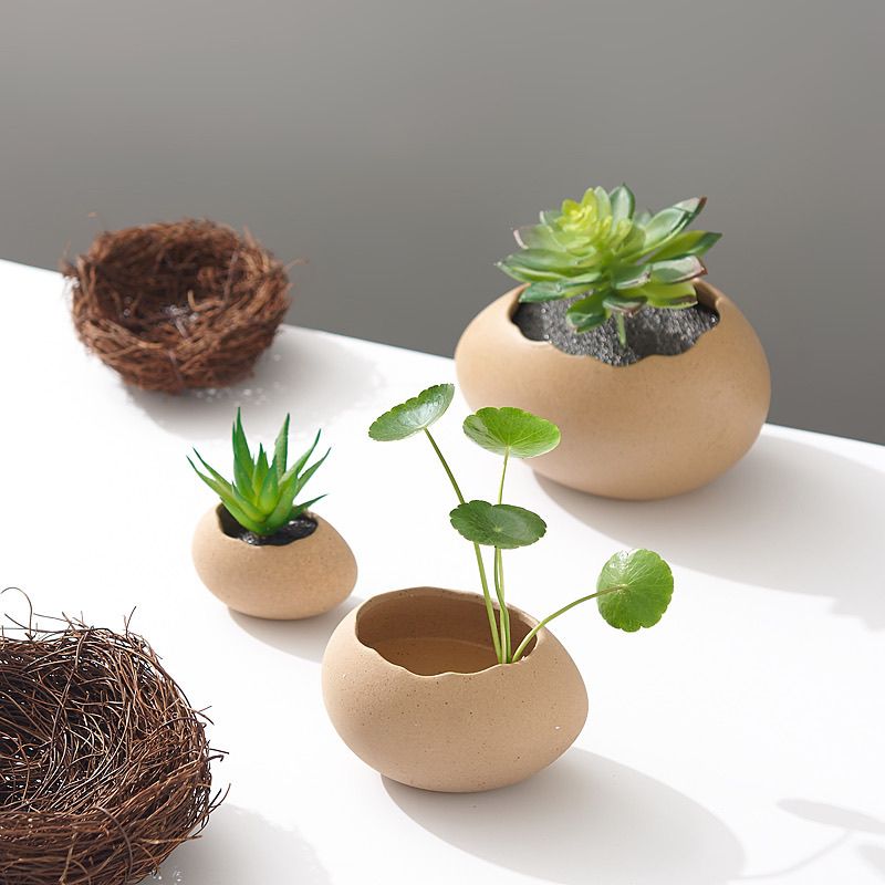 Creative Ceramic Hydroponic Pothos Vase, Indoor Home Flower Arrangement Planter Vessel Decoration