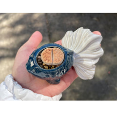 Hot Item Cute Creative Mini Personalized Goldfish Shape Ceramic Succulent Pot