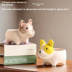 Cute Animal Succulent Pot Set, Creative Coarse Pottery Simple Home Durable High Aesthetic Decor